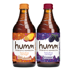 Humm Organic Probiotic Kombucha, Variety Pack, 14 fl oz, 12 ct